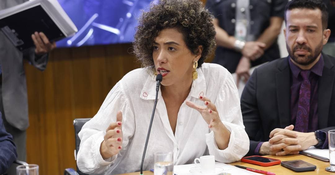 BNDES discute crédito racial em reunião com Talíria Petrone