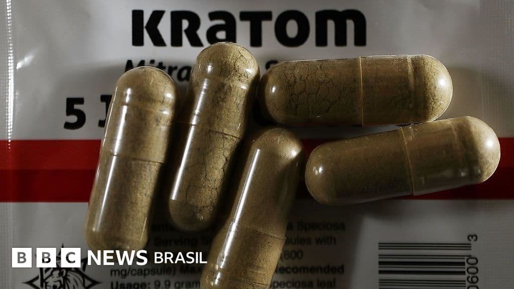 Kratom: o impasse regulatório americano e o Brasil