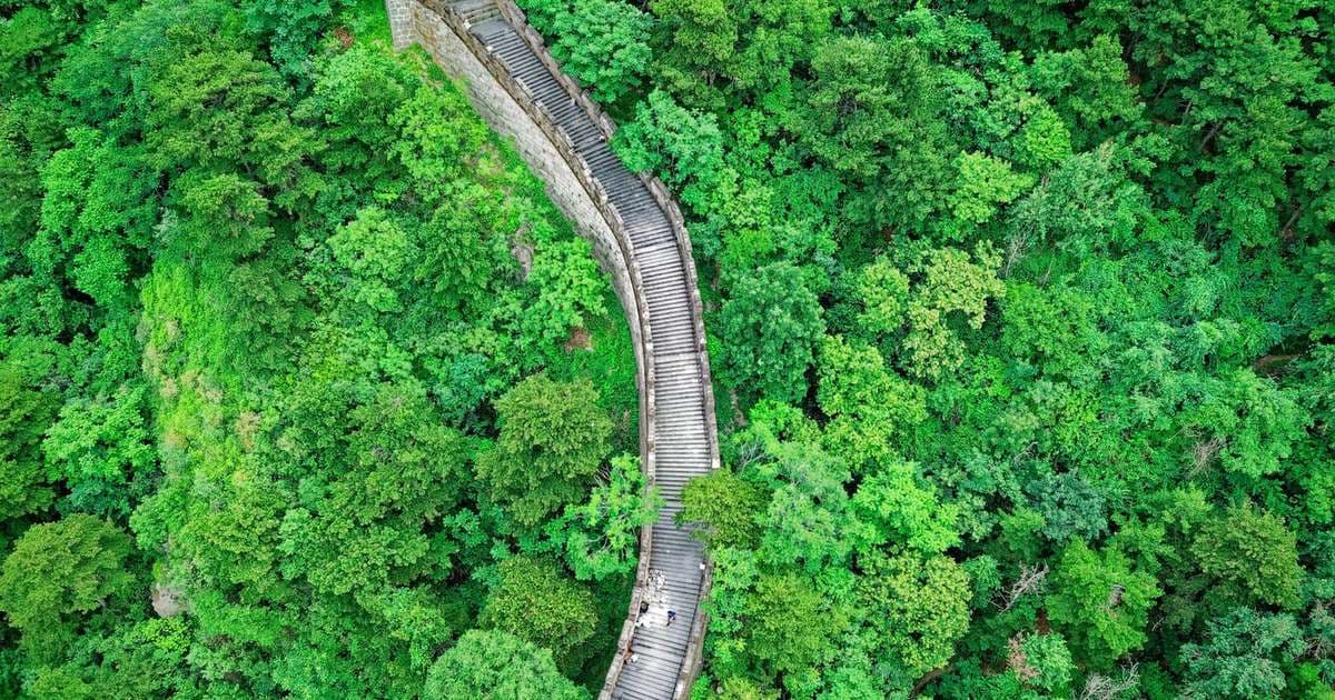 Reflorestamento chinês seca aquíferos e expõe risco ao Brasil
