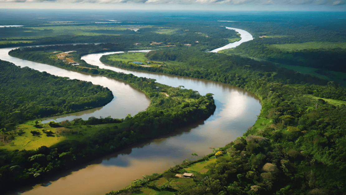Desmatamento: estudo estima até R$ 192 bi em danos climáticos